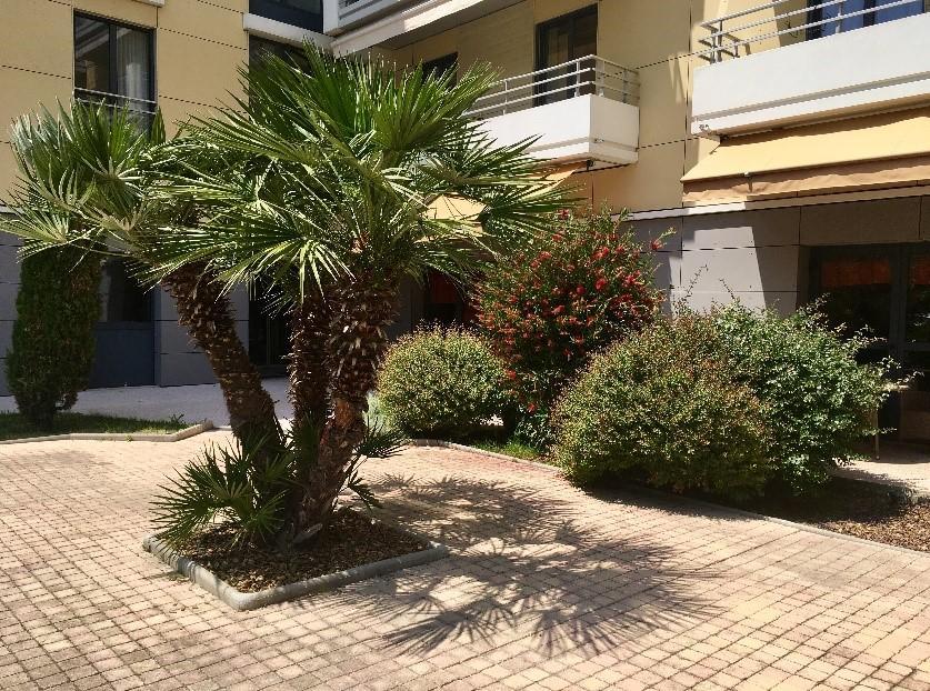 Villa Du Beal Cagnes-sur-Mer Exteriör bild